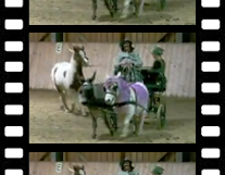 Weihnachtsreiten - Josie & Ponys, 22. Dezember 2012