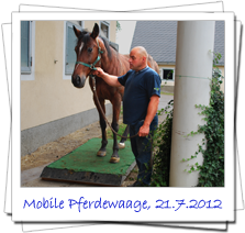Mobile Pferdewaage, 21. Juli 2012