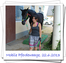 Mobile Pferdewaage, 22. Juni 2013